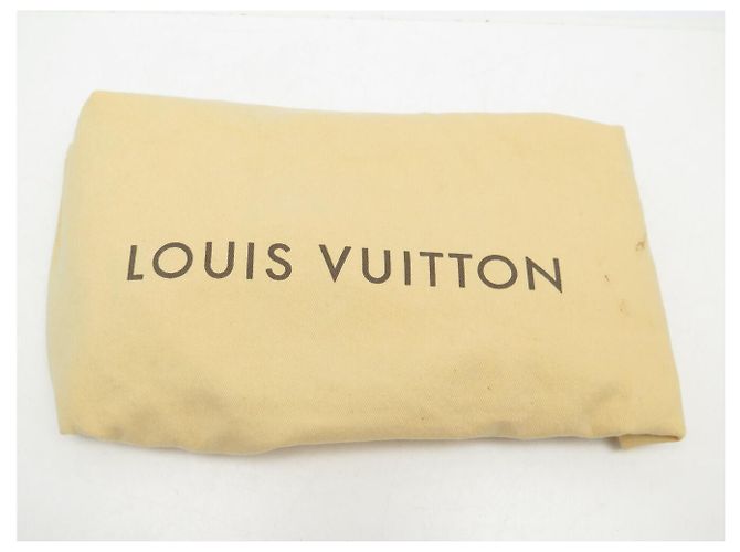 BORSA LOUIS VUITTON ALMA PM N53151 DAMIER EBENE CANVAS Marrone - vista 20
