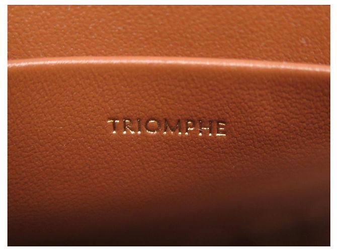 Céline NUOVA BORSA A SPALLA CELINE CLEA 110962BZ4.04 TELA TRIOMPHE A TRACULLA Marrone - vista 13