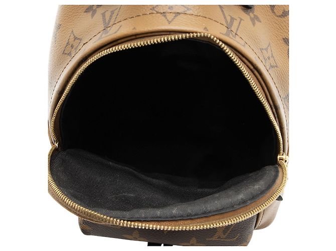 Mini Mochila Louis Vuitton Reverse Monogram Canvas Palm Springs - VENTA FINAL Negro - vista 6