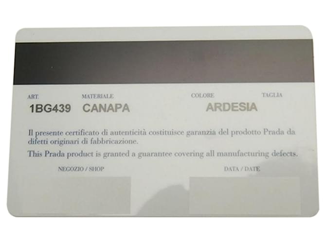 Borsa Prada Gray Small Canvas Canapa Logo Marrone Grigio antracite - vista 19
