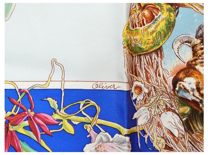 Carré Hermès Faune et Flore du Texas Wildlife 90 cm di Kermit Oliver Marrone Rosa Bianco Rosso Blu D'oro Verde - vista 11