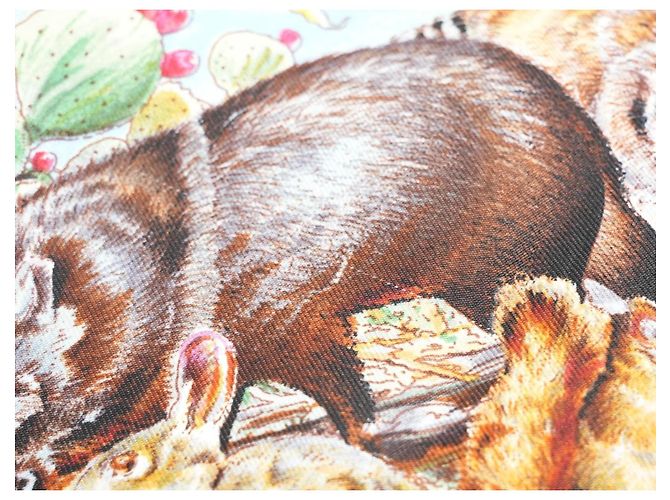 Carré Hermès Faune et Flore du Texas Wildlife 90 cm di Kermit Oliver Marrone Rosa Bianco Rosso Blu D'oro Verde - vista 19