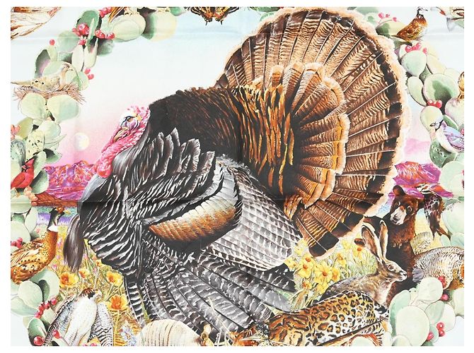 Carré Hermès Faune et Flore du Texas Wildlife 90 cm di Kermit Oliver Marrone Rosa Bianco Rosso Blu D'oro Verde - vista 6