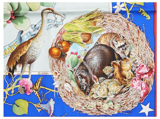 Carré Hermès Faune et Flore du Texas Wildlife 90 cm di Kermit Oliver Marrone Rosa Bianco Rosso Blu D'oro Verde - vista 9