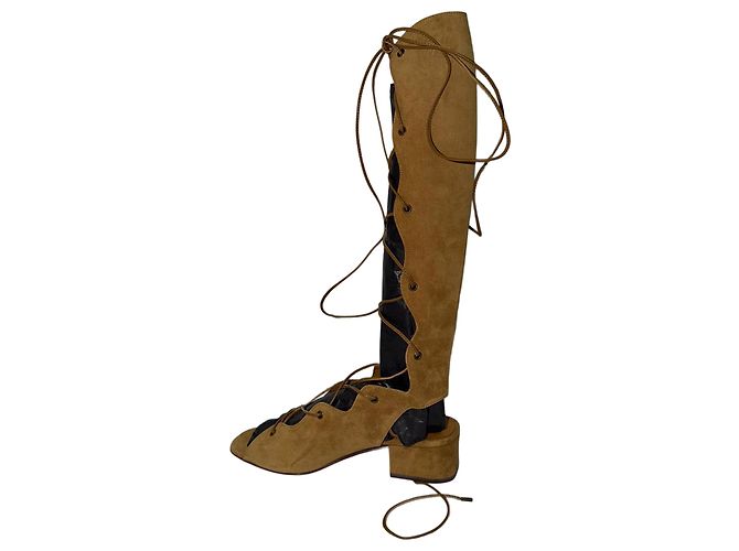 Sandali gladiatore con lacci Babies Tall di Saint Laurent in scamosciato beige - vista 6