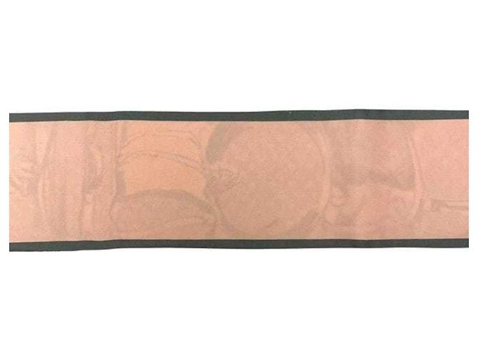 Sciarpa in nastro di seta Louis Vuitton Rosa Beige - vista 7