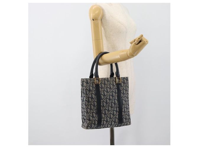 Borsa Christian Dior Trotter Canvas Blu Navy Oro Autentica 187370 D'oro - vista 21