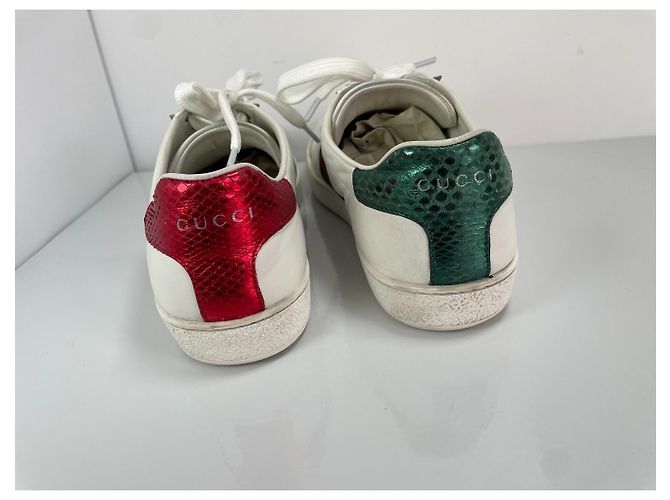 Gucci Ace Bee Sneaker Weiß Leder Rot Grün - Ansicht 5