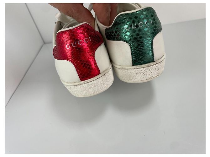 Gucci Ace Bee Sneaker Weiß Leder Rot Grün - Ansicht 6