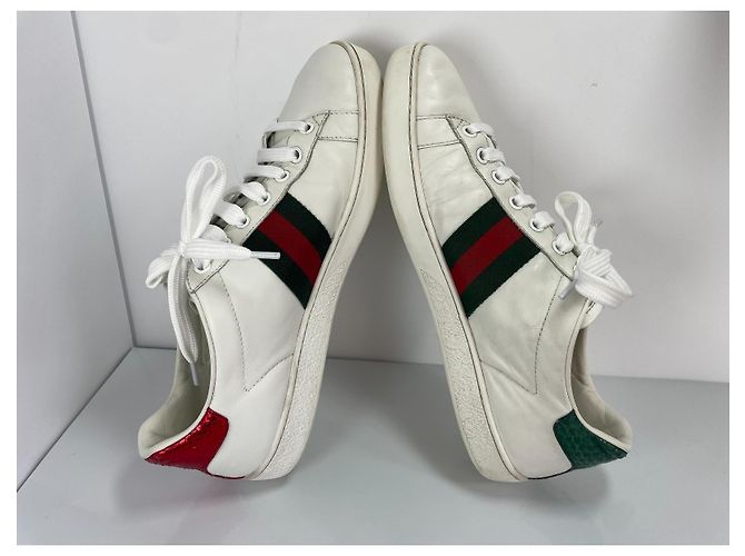 Gucci Ace Bee Sneaker Weiß Leder Rot Grün - Ansicht 7