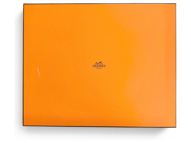 Hermès Sciarpa in cashmere HERMES Verquis Love Marrone - vista 9