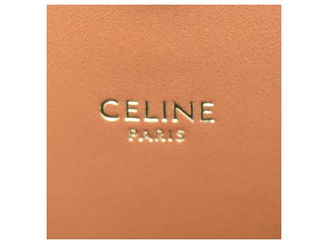 Céline Borsa a tracolla in pelle da donna Celine Bezastrionf Triomphe - vista 8
