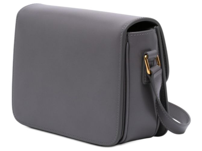 Céline Celine Borsa a tracolla Triomphe in pelle di vitello lucida grigia Teen Marrone - vista 2