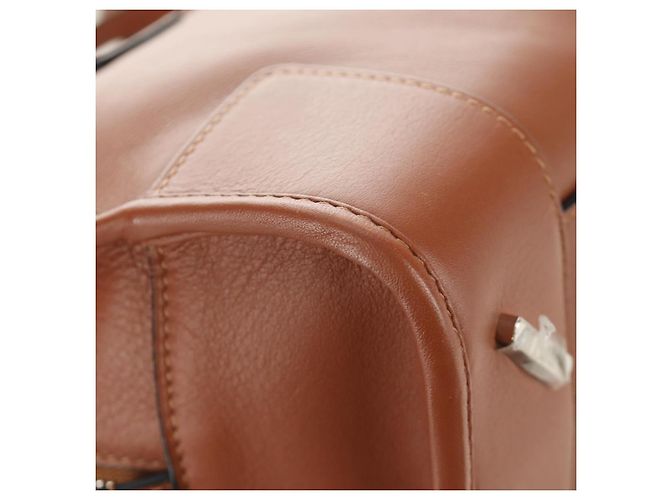 LOEWE Studio Ghibli My Neighbor Totoro Amazona 28 Leather 2way Auth 167413SM Marrone Argento - vista 20