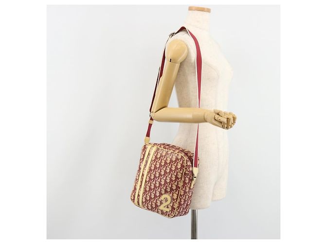 Borsa a tracolla Christian Dior Trotter Canvas PVC Rosso Argento Auth 185951 - vista 25
