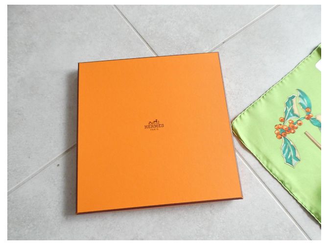 Hermès Lenço de seda Neige d'Antan Marrom Branco Verde Laranja - vista 2