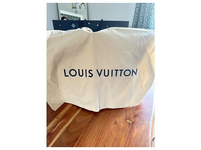 Borsa tote Louis Vuitton Christopher in pelle bianca Bianco - vista 10