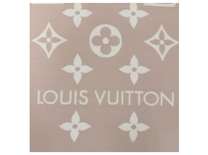 Stola in lana beige Louis Vuitton - vista 5