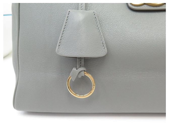 Céline NUOVA BORSA CELINE APPOLINE MEDIUM 114963FK6 PELLE GRIGIA A SPALLA Grigio - vista 7