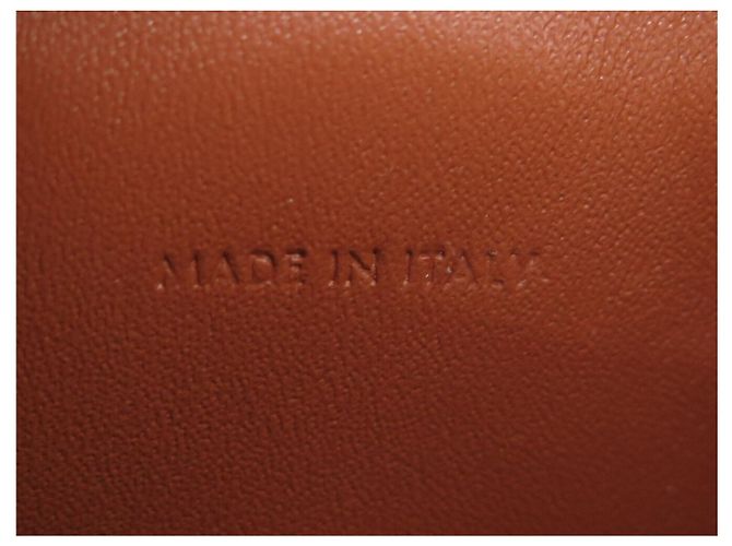 Céline NUOVA BORSA CELINE TILLY MEDIUM IN TELA TRIOMPHE LEOPARD 115702FP3 Cammello - vista 9