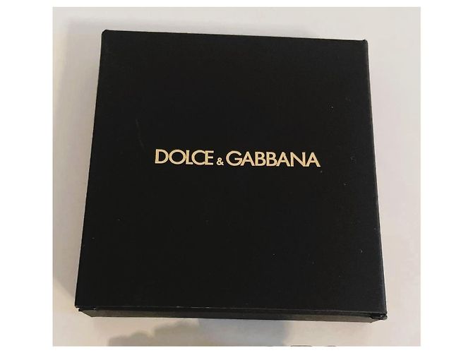 Forcine Dolce & Gabbana Logo Swarovski Argento - vista 13