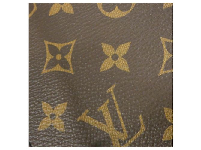 Néonoé Borsa a tracolla Louis Vuitton Monogram Neo Noe MM M44021 Marrone Rosso - vista 4