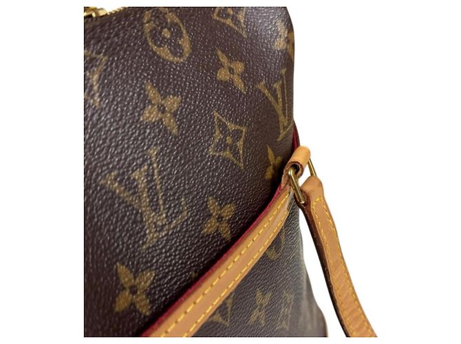 Borsa a Spalla Louis Vuitton Coussin GM Monogram Marrone - vista 14
