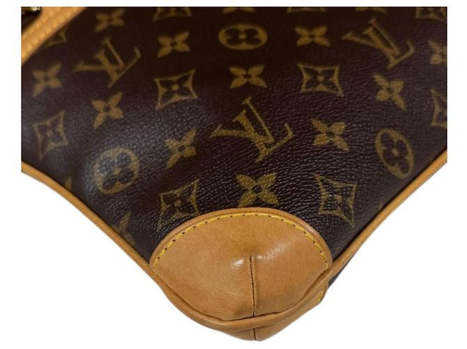 Borsa a Spalla Louis Vuitton Coussin GM Monogram Marrone - vista 7