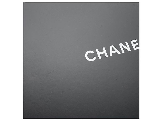 Borsa Chanel in pelle di vitello martellata azzurro cielo Blu chiaro - vista 14