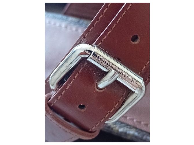 Louis Vuitton Golden Bloom Sandali Plate Monogram Marrone Monogramma - vista 5