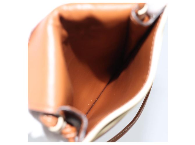 Céline CELINE Triomphe Shoulder Pouch Bag PVC White Auth ka4775V Bianco - vista 11