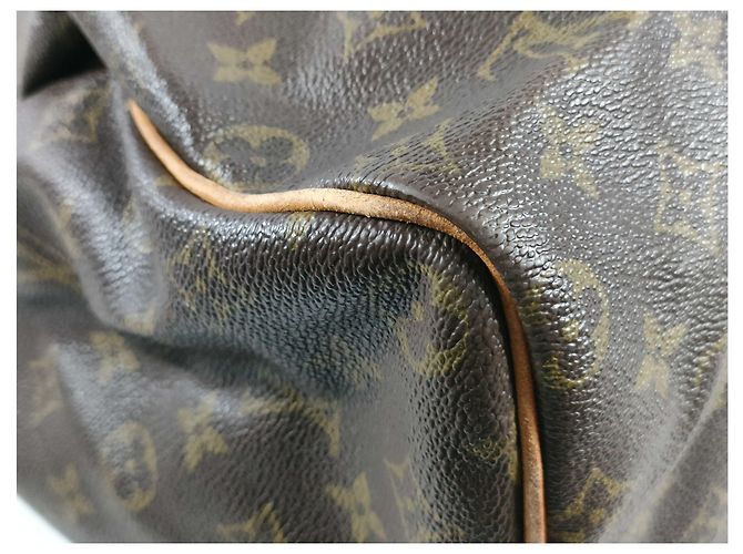 Louis Vuitton Speedy Monogram Canvas 40 Marrone - vista 6