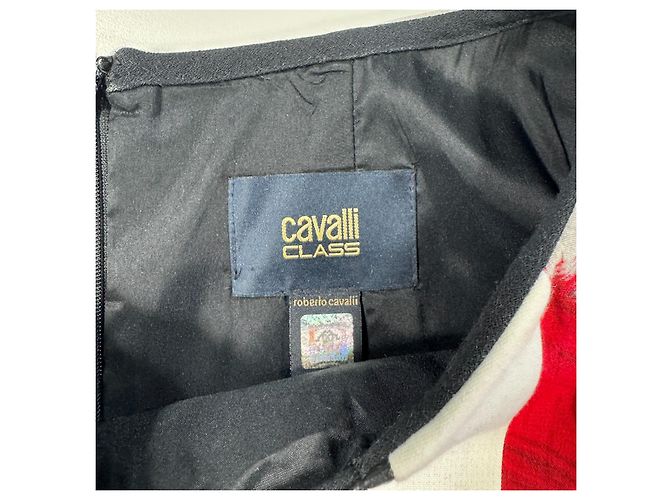Colorblock Kleid Class von Roberto Cavalli Schwarz Weiß Rot Grau - Ansicht 4