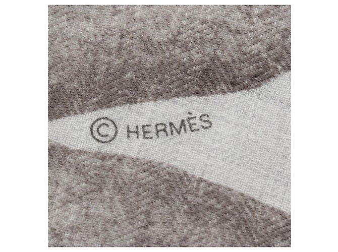 Hermès Hermes Carre Geant 140 Une Rose pour Alma Scarf Marrone Verde - vista 3