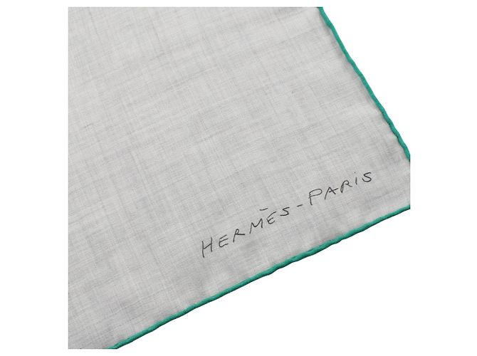 Hermès Hermes Carre Geant 140 Une Rose pour Alma Scarf Marrone Verde - vista 7