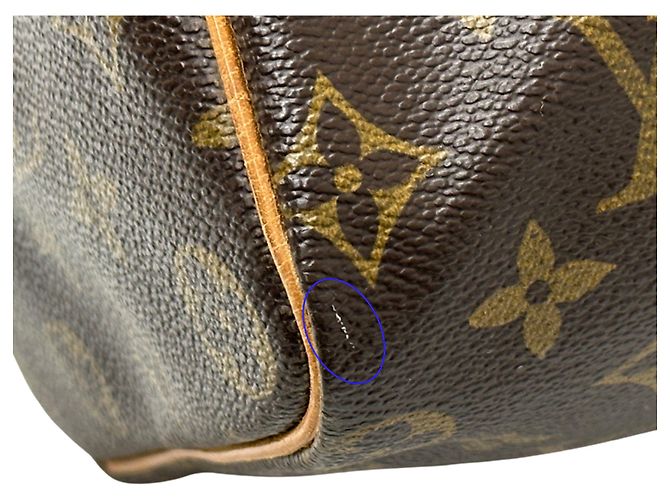 Speedy Borsa a mano Louis Vuitton Monogram Marrone Monogramma - vista 13