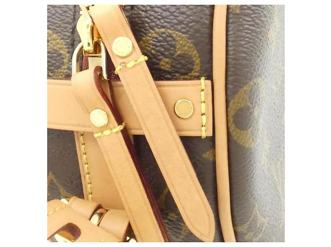 Borsa a Spalla Louis Vuitton Monogram Boite Chapeau Souple PM Marrone - vista 3