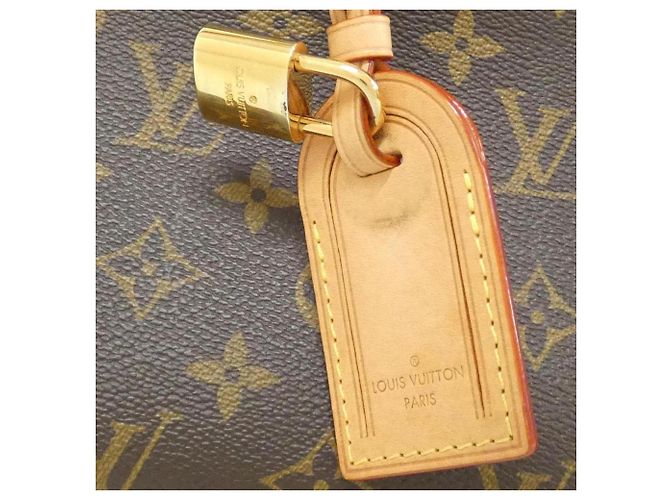Borsa Louis Vuitton Monogram Petit Palais PM Marrone - vista 4