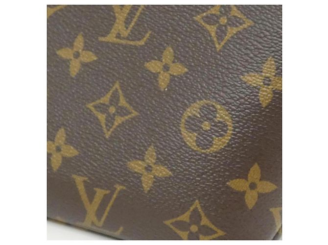 Borsa Louis Vuitton Monogram Petit Palais PM Marrone - vista 5