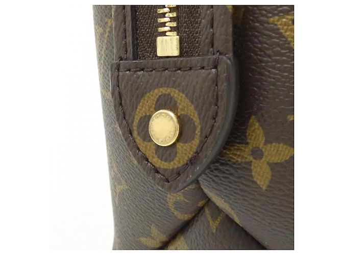Borsa Louis Vuitton Monogram Petit Palais PM Marrone - vista 6