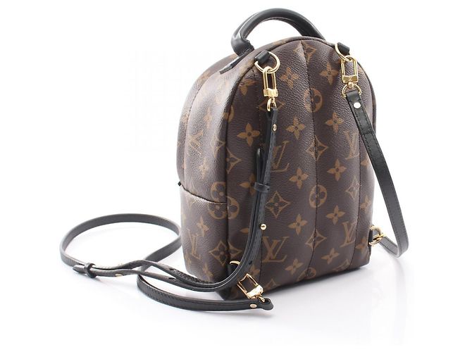 Zaino/Borsa Louis Vuitton Palm Springs Mini Monogram Marrone Nero Monogramma - vista 2