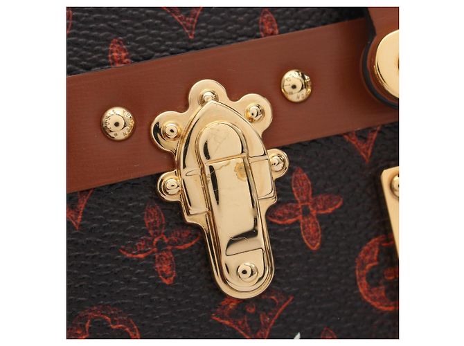 Borsa a tracolla Louis Vuitton Petite Malle NM Catgram Marrone - vista 10
