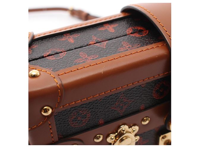 Borsa a tracolla Louis Vuitton Petite Malle NM Catgram Marrone - vista 11