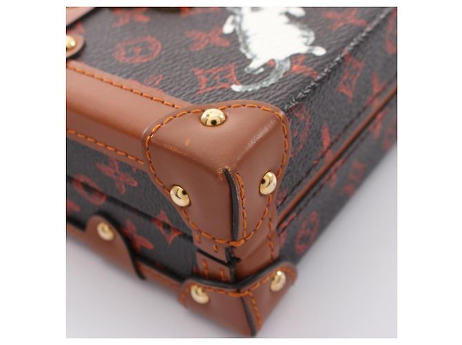 Borsa a tracolla Louis Vuitton Petite Malle NM Catgram Marrone - vista 12