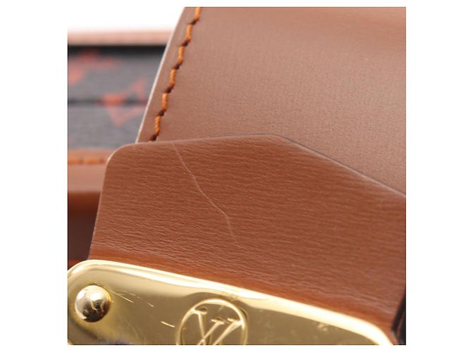 Borsa a tracolla Louis Vuitton Petite Malle NM Catgram Marrone - vista 13