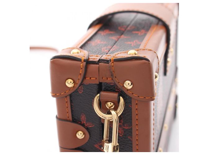Borsa a tracolla Louis Vuitton Petite Malle NM Catgram Marrone - vista 5