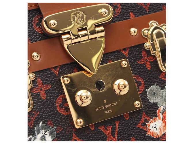 Borsa a tracolla Louis Vuitton Petite Malle NM Catgram Marrone - vista 9