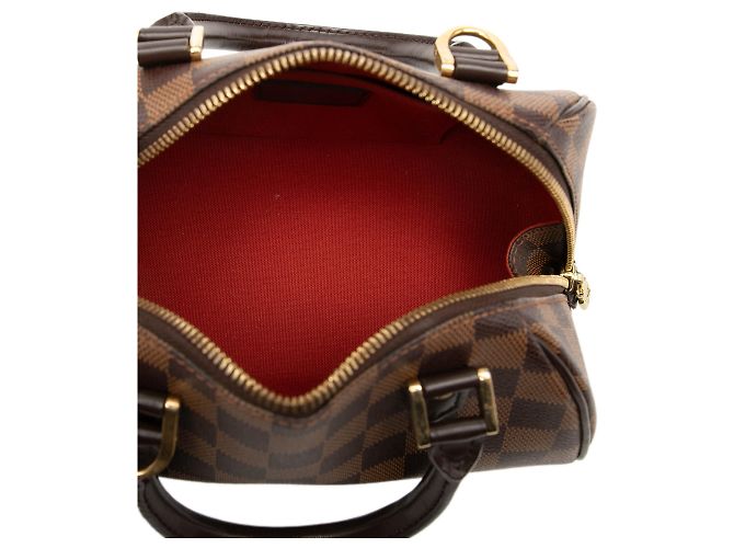 Louis Vuitton Marrone Damier Ebene Mini Ribera - vista 4