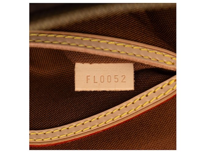 Louis Vuitton Marrone Monogram Alma PM - vista 6