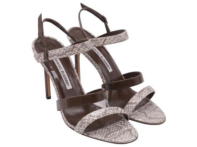 Sandali con listini Manolo Blahnik Villano in pelle di serpente marrone - vista 3